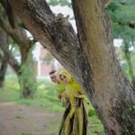 WhatsApp Image 2024-12-21 at 7.08.16 PM (1)