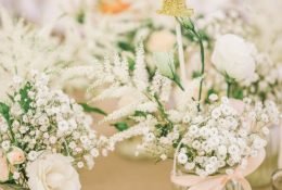 pexels-photo-1061744